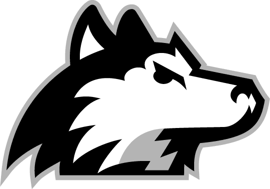 Northern Illinois Huskies 2001-Pres Alternate Logo v7 iron on transfers for fabric